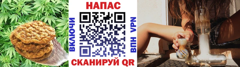 Cannafood конопля Черногорск