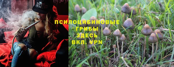 ALPHA-PVP Медвежьегорск