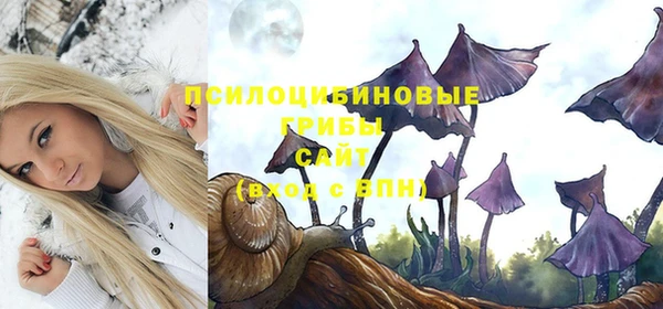 бутират Мегион