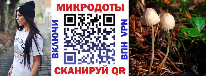 Галлюциногенные грибы Cubensis  Черногорск 